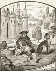 Schafschur im Mittelalter, aus 